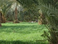 zagora (3)